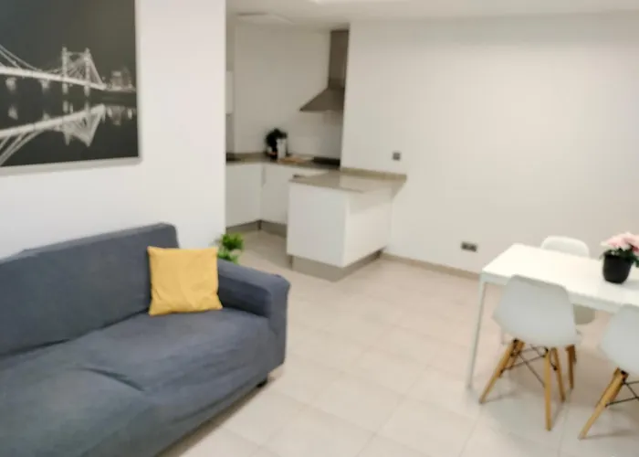 Apartaments Puigcardener 1